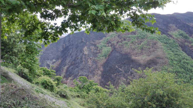  El incendio de la Tebaida arrasó 1.300 hectáreas