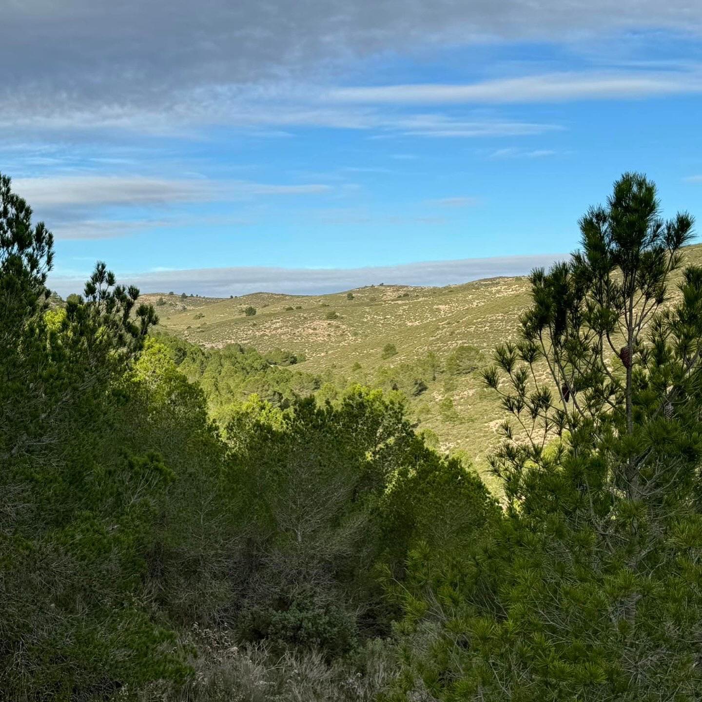 Imágenes término municipal de Villena. Archivo