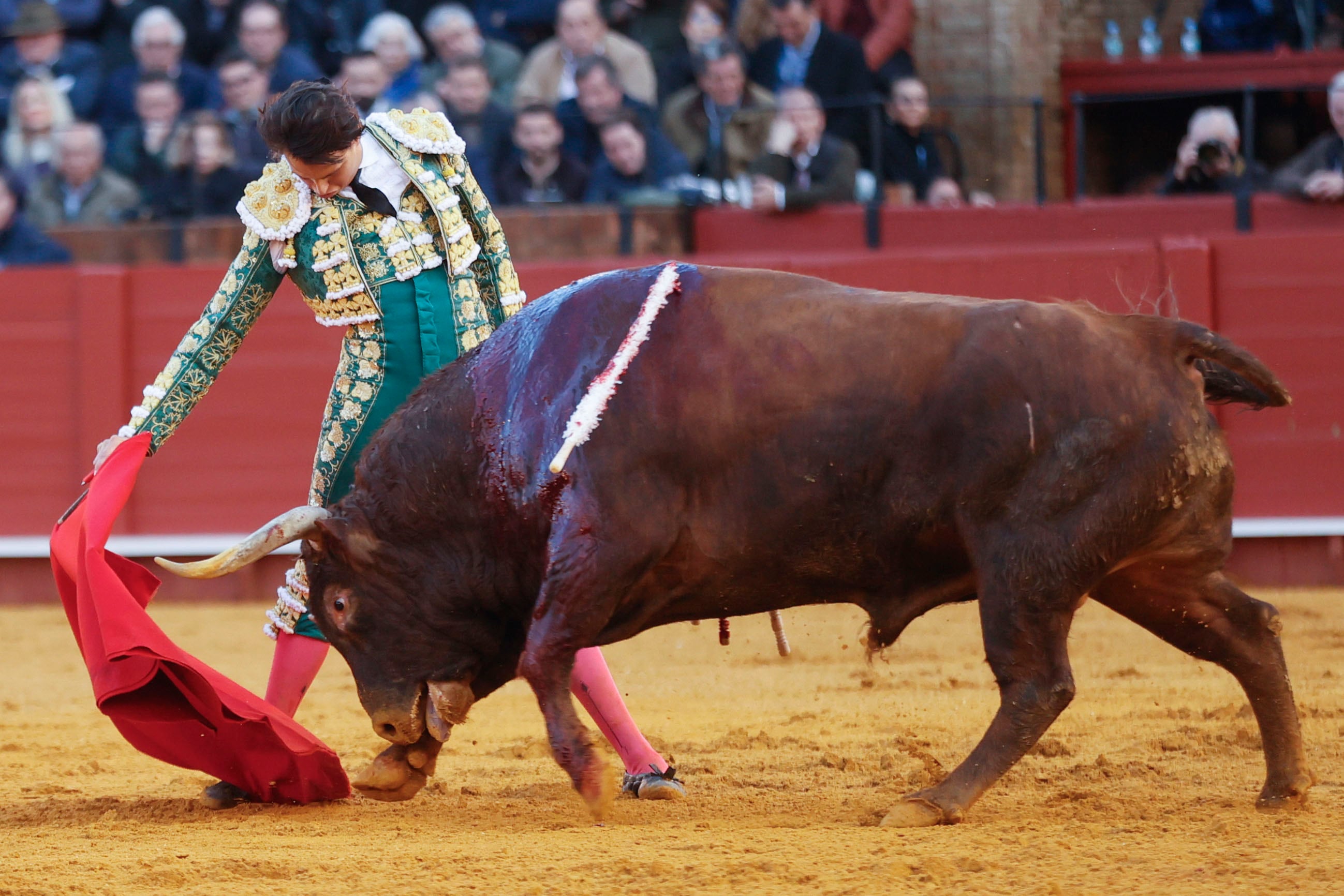 SEVILLA, 31/03/2024.- El torero peruano Andrés Roca Rey lidia su primer toro durante el festejo taurino que marca la apertura de la temporada taurina en la plaza de la Real Maestranza de Sevilla, en la tarde del Domingo de Resurrección, con toros de Hermanos García Jiménez. EFE/José Manuel Vidal
