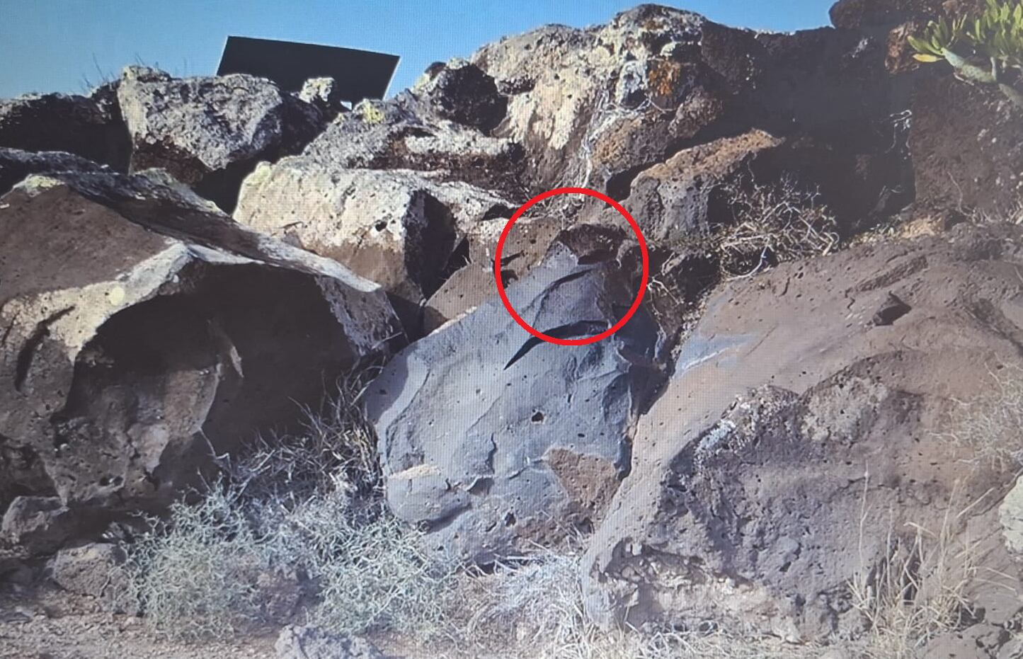 Grabado rupestre único, vandalizado en la &#039;Piedra del Majo&#039; del yacimiento de Zonzamas.