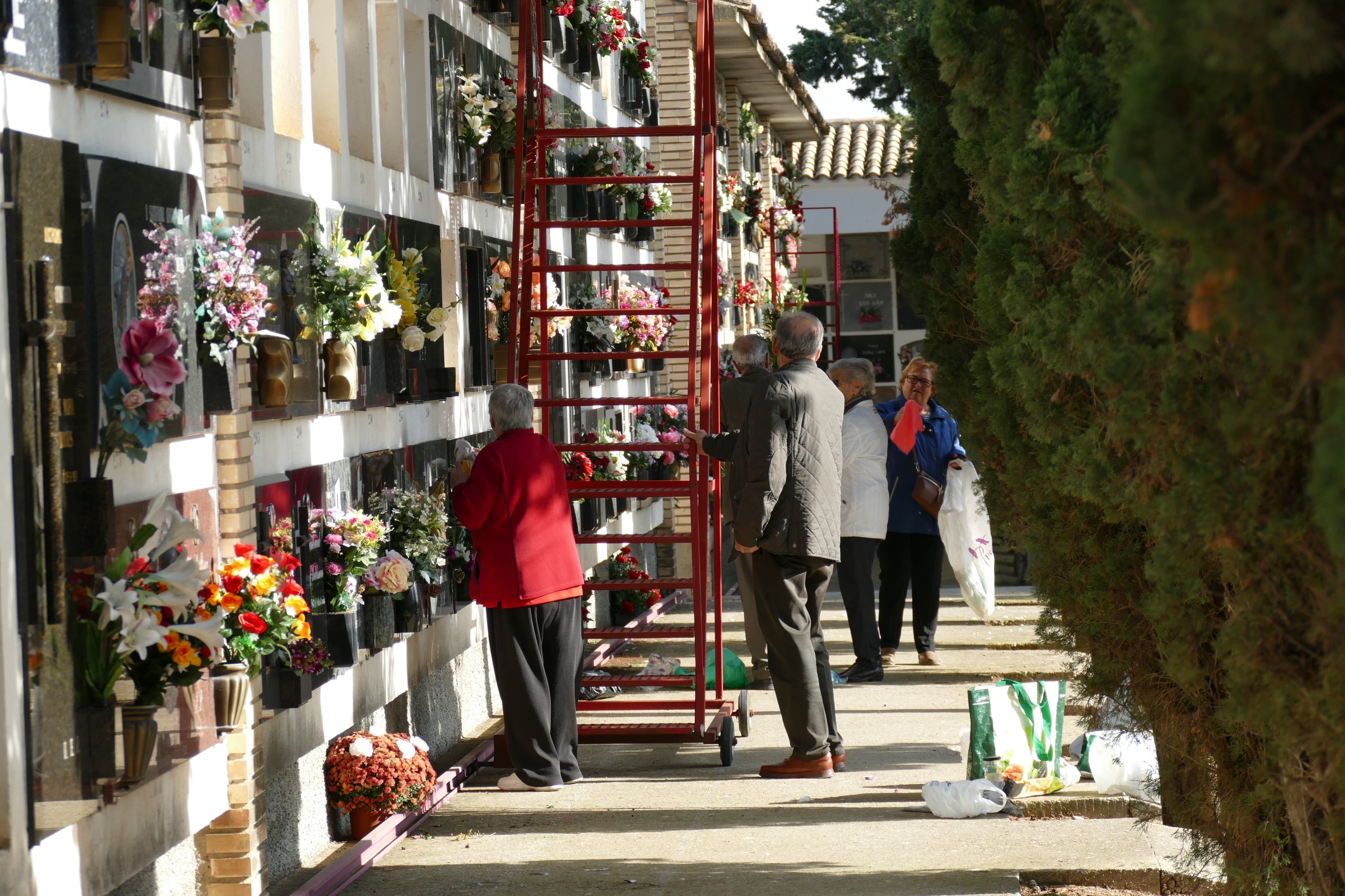 Celebración de Todos Los Santos