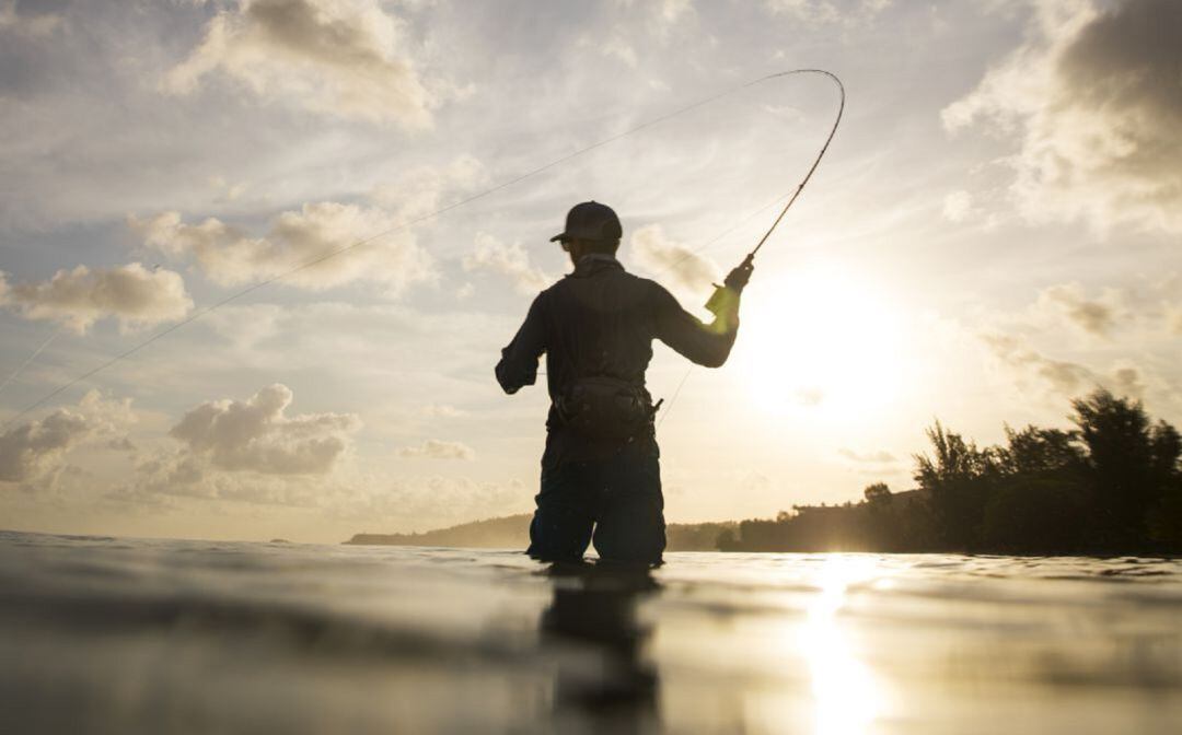 Pesca deportiva