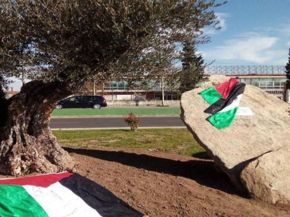 Palestina ya tiene plaza en Sanse