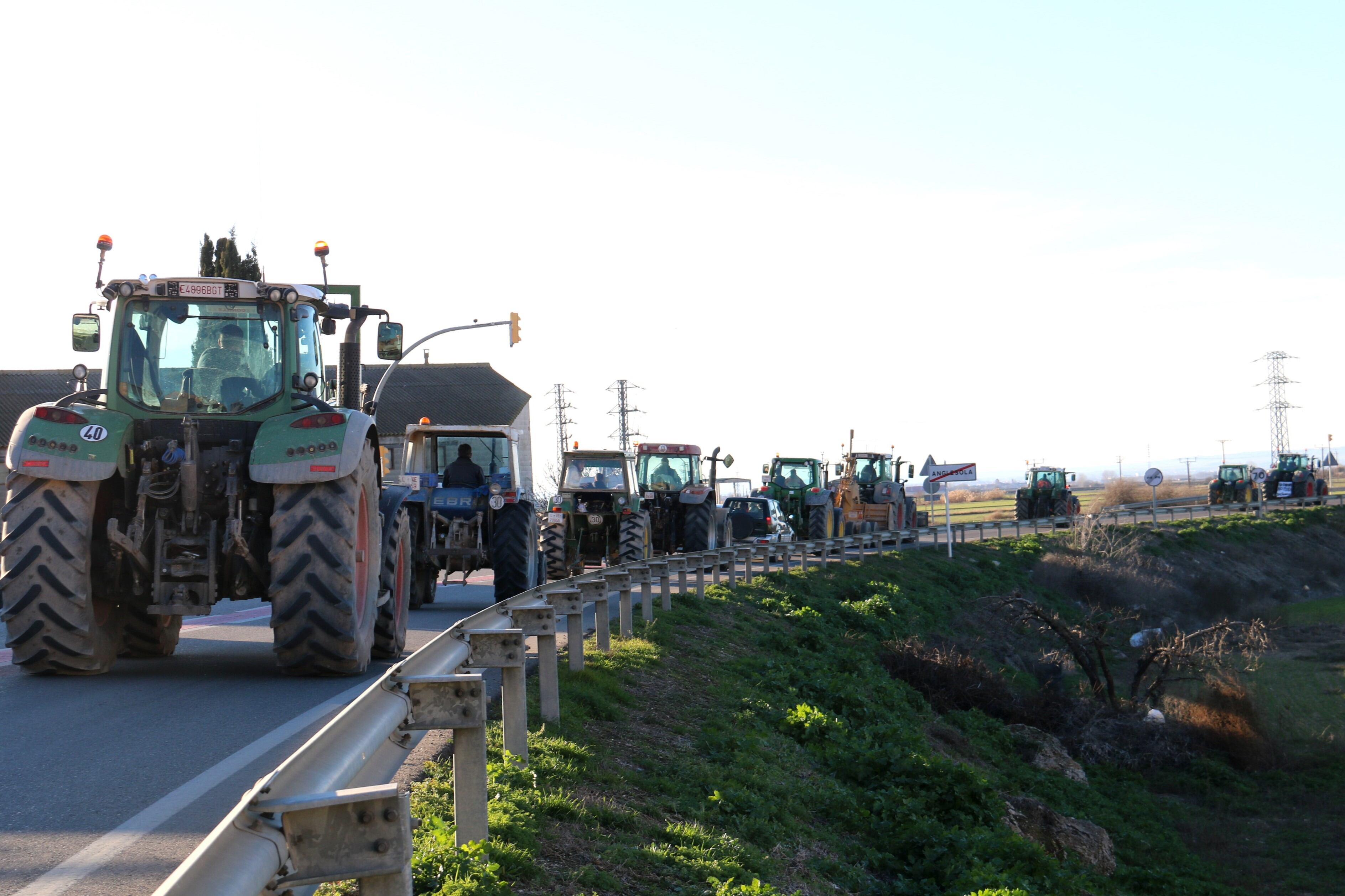 Tractorada de pagesos i ramaders entre Anglesola i Tornabous per mostrar el seu rebuig a les polítiques agràries
Autor: Alba Mor