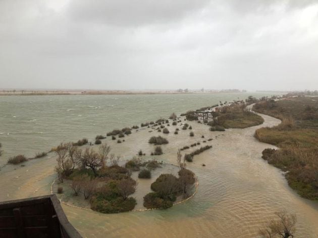 Destrosses del Glòria al Delta de l&#039;Ebre