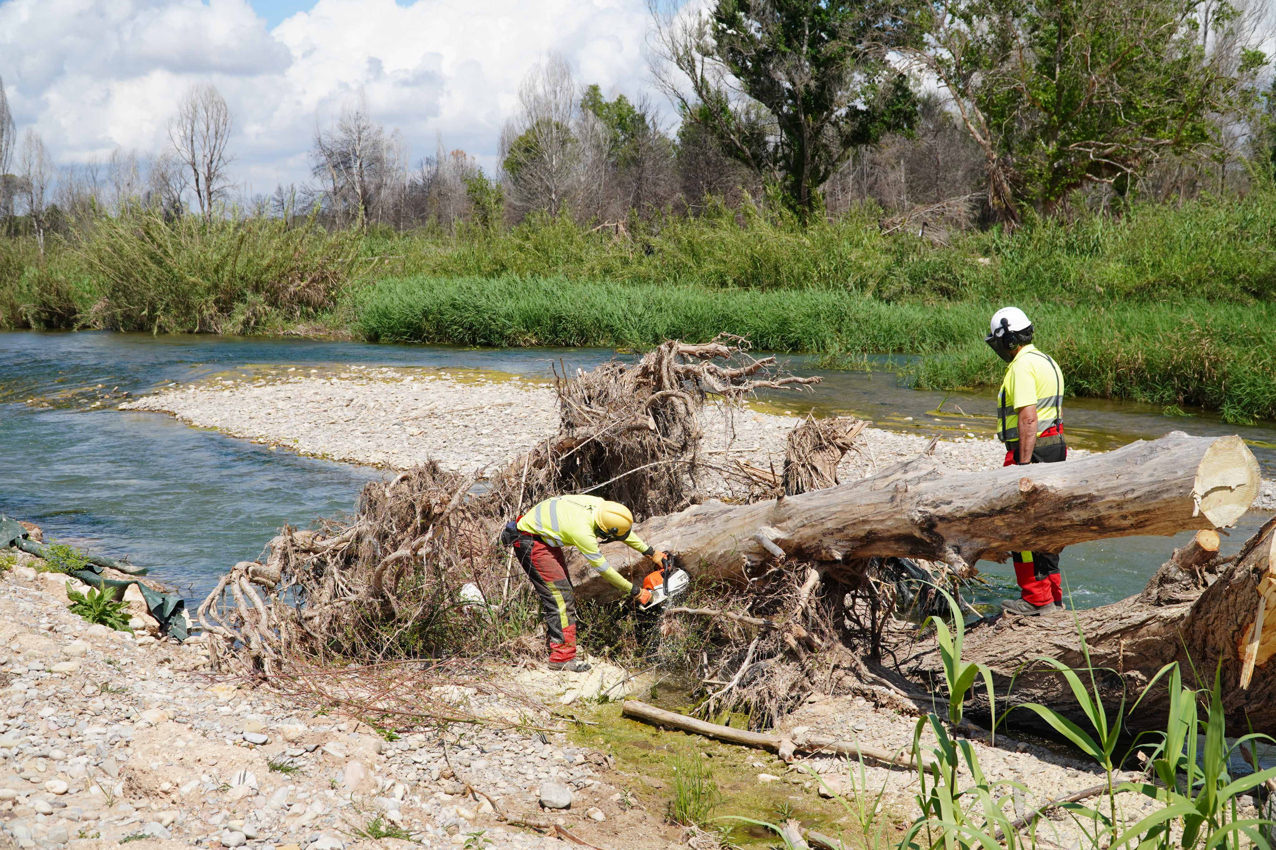 La Confederación Hidrográfica del Júcar destina cerca de 19 millones de euros para restituir los cauces dañados por la DANA del 29-O en el tramo bajo del río Turia