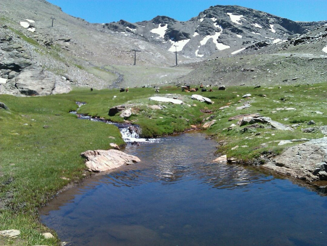 Foto de archivo del espacio protegido de Sierra Nevada (Granada)