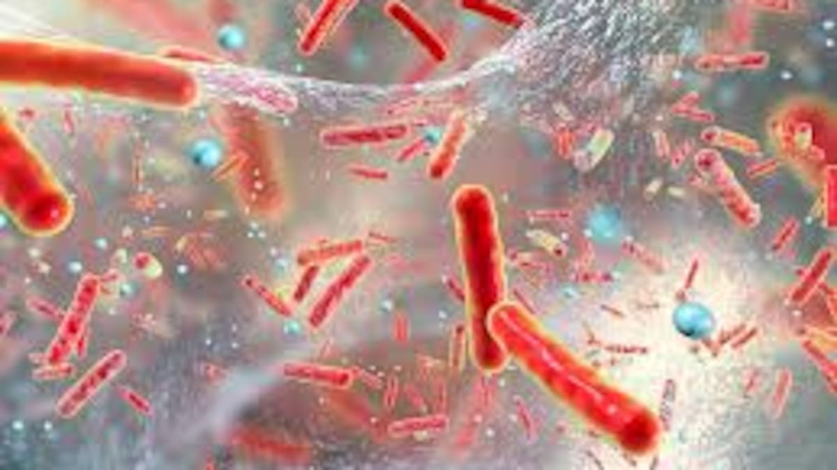 Hoy por Hoy Zaragoza y la ciencia (28/01/26)