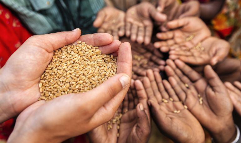 Una mujer voluntaria ofrece grano a niños que se encuentran con escasez de alimento.