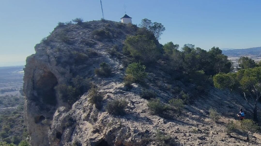 Con este presupuesto se acometerá la retirada de pinos en mal estado, enfermos o secos