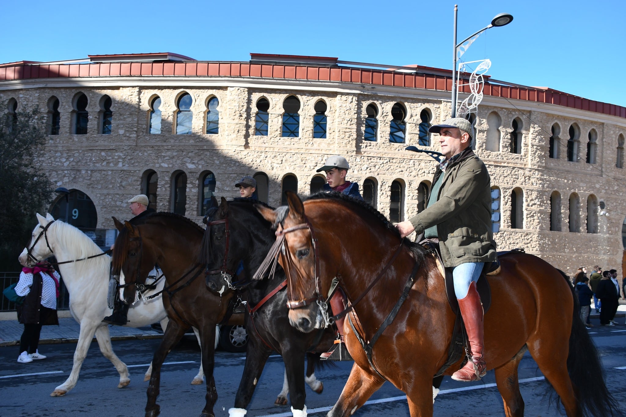 Desfile y bendición animales San Antón Villena