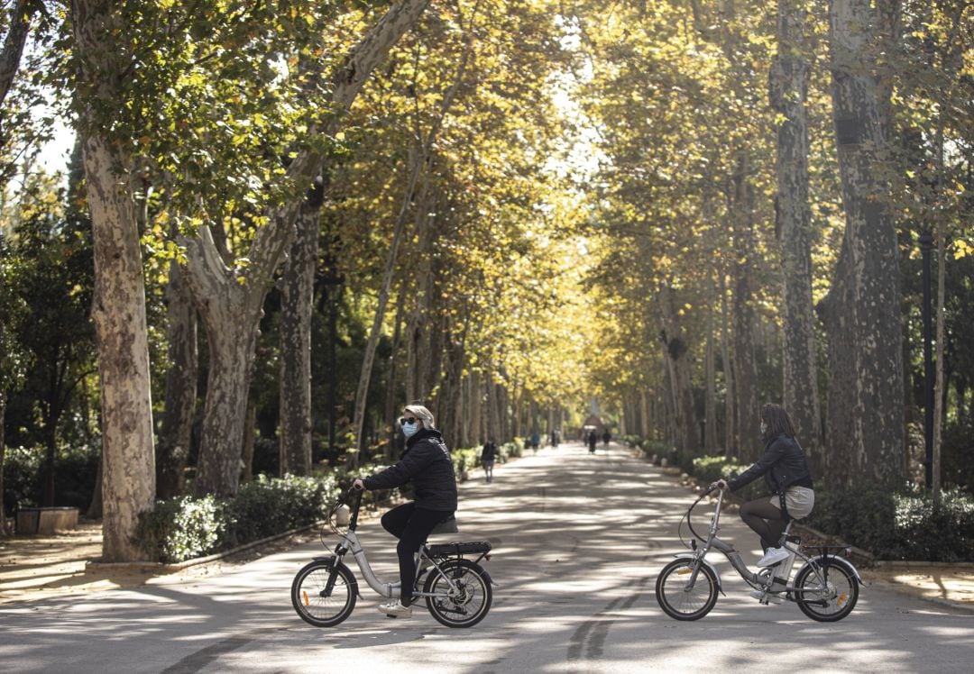 Archivo - Varias personas en bicicleta por el Parque de Maria Luisa