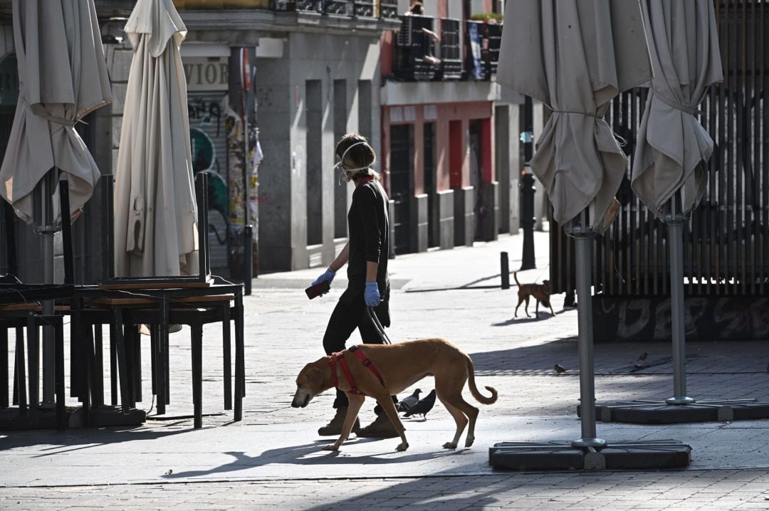 Una persona pasea a un perro en la plaza de Lavapiés