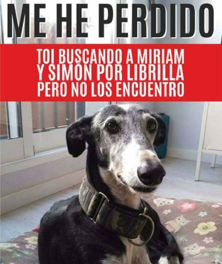 Tormenta, desaparecida en Librilla.