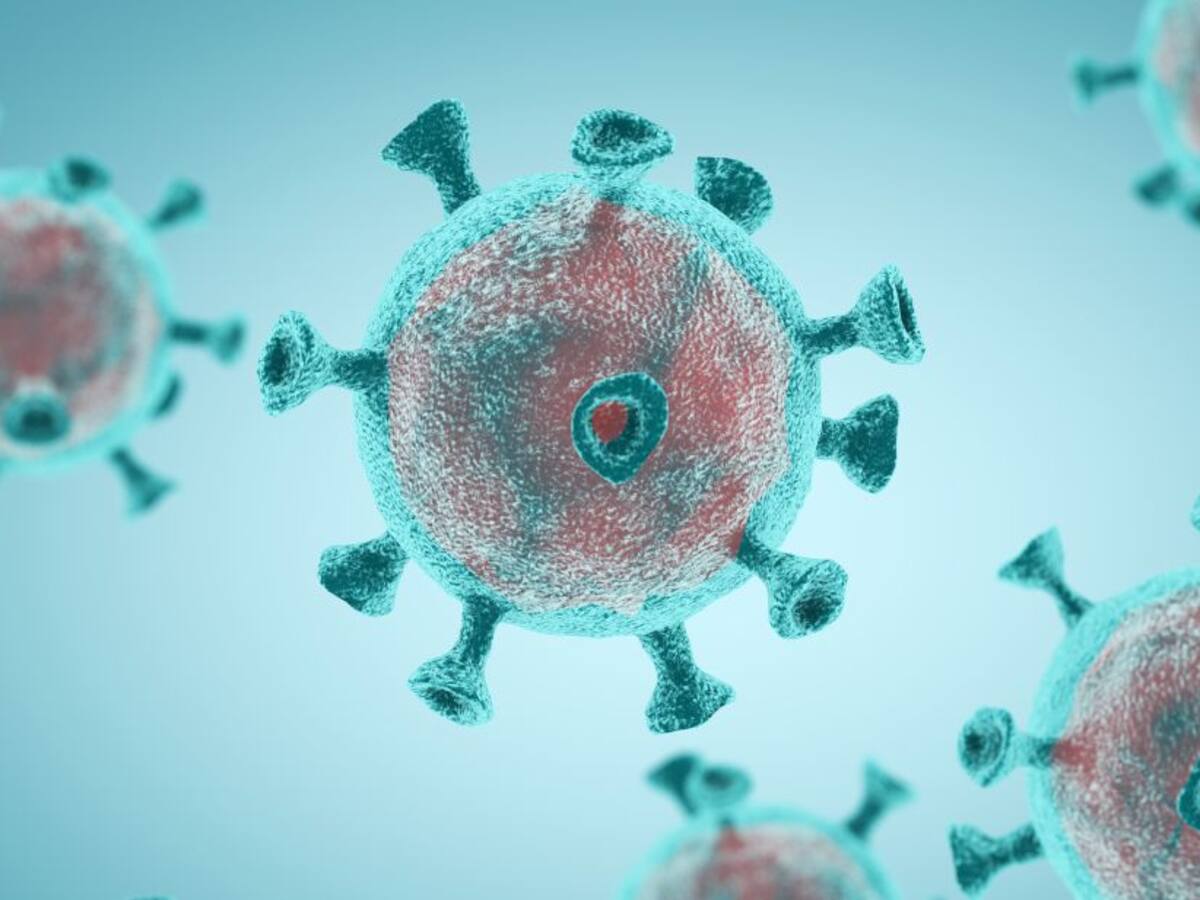 Coronavirus en Castilla y León: última hora de los afectados