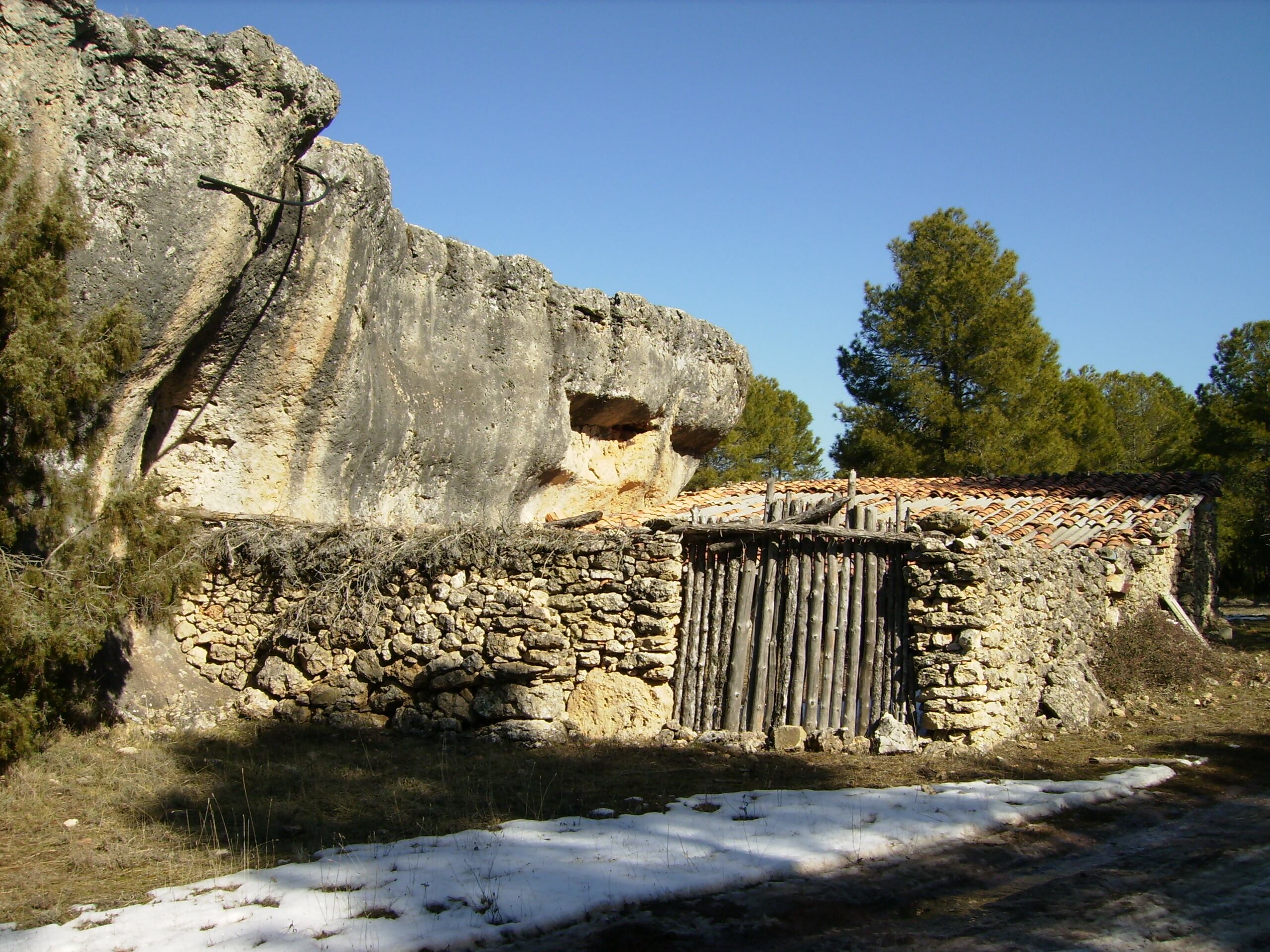 Paridera adosada a una dolomía en Valdecabras (Cuenca).
