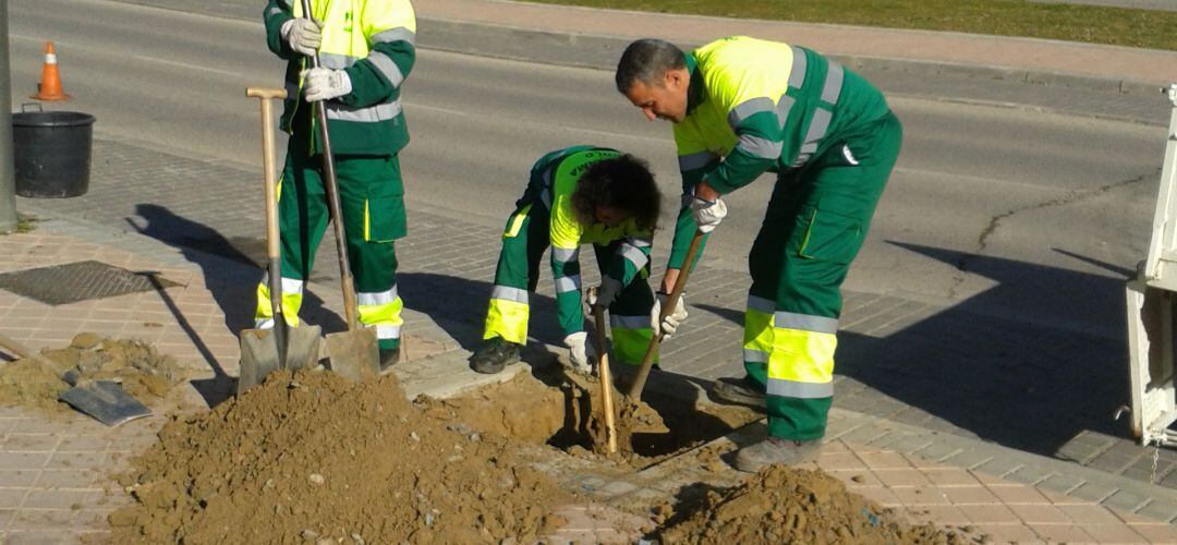 La Comunidad ha prorrogado las inversiones del PIR durante este año