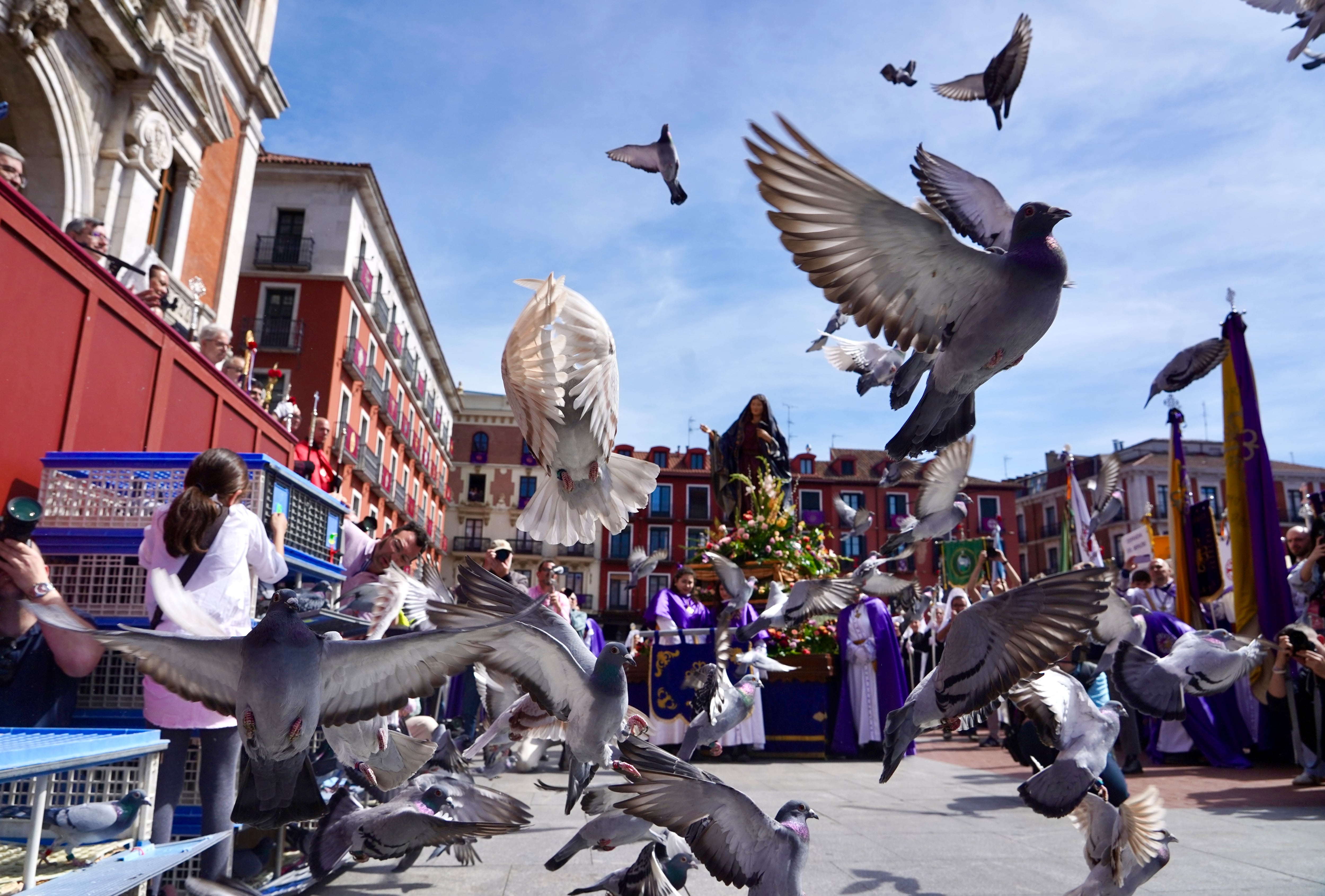Celebración de la procesión del Encuentro de Jesús Resucitado con la Virgen de la Alegría de la Semana Santa de Valladolid