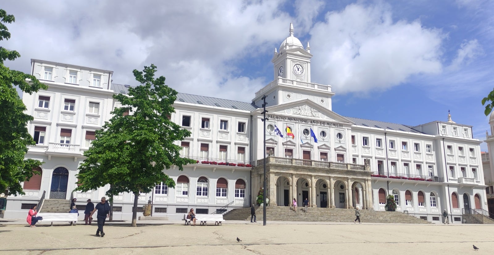 Imagen de los tilos de la plaza de Armas. Foto: Concello Ferrol