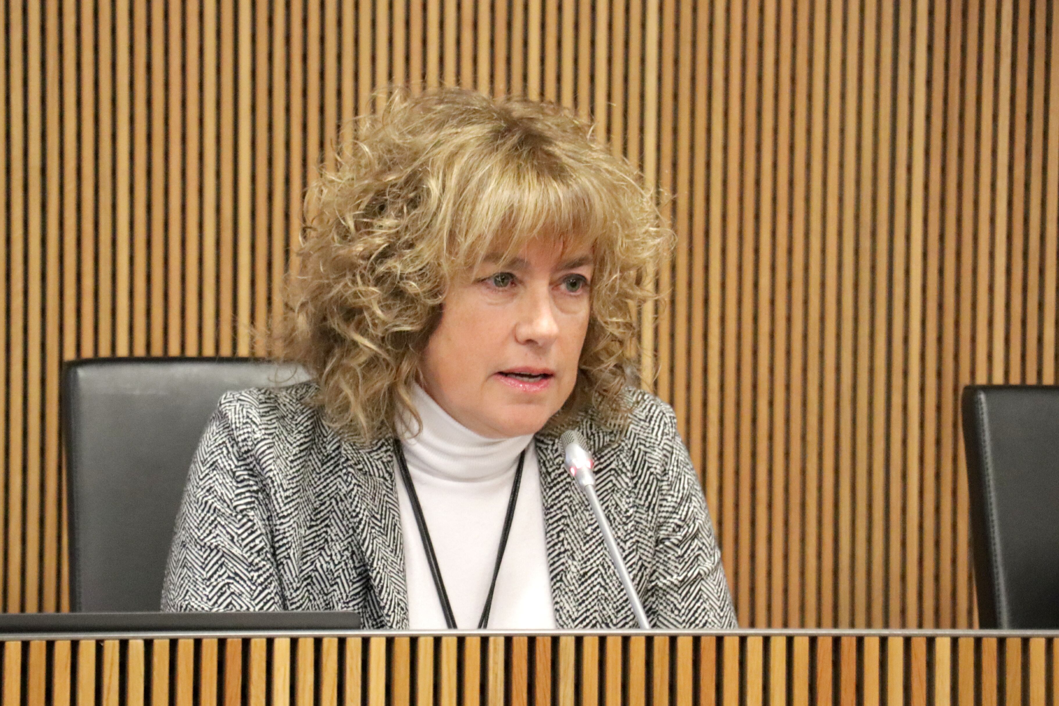 La presidenta de l&#039;AREB, Sílvia Cunill, al Consell General.