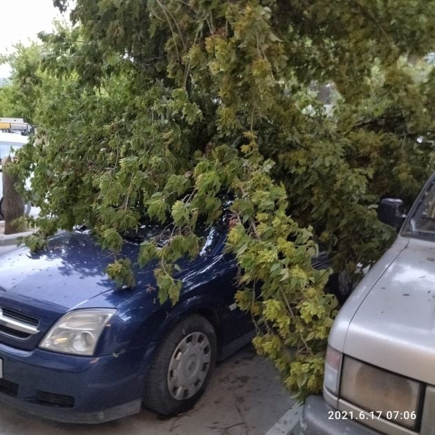 La caida de árboles provoca desperfectos en una decena de vehiculos