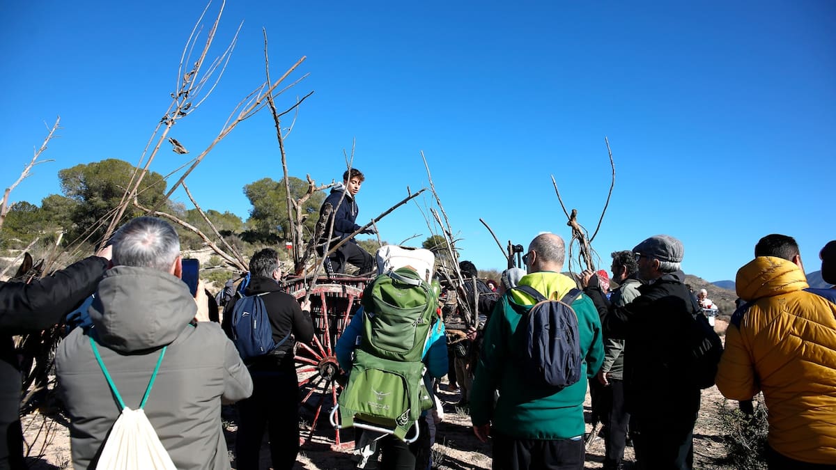 La leña para la hoguera de San Antón ya está recogida