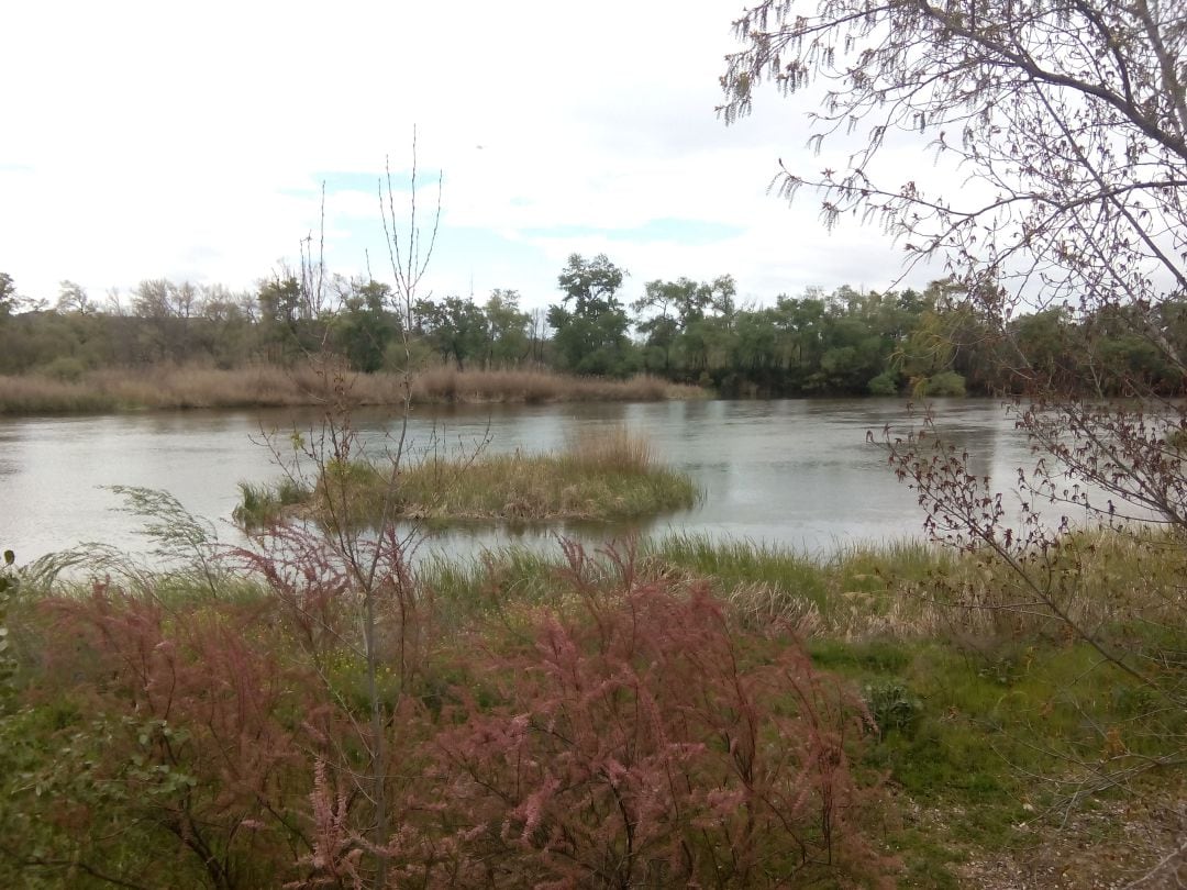 El Tajo a su paso por Talavera de la Reina