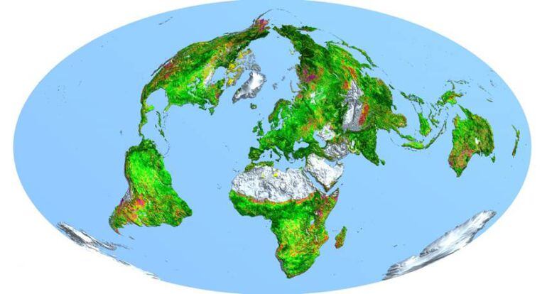 La Tierra tiene ahora más superficie verde que hace tres décadas, según un estudio internacional que ha sido publicado en la revista Nature Climate Change. 