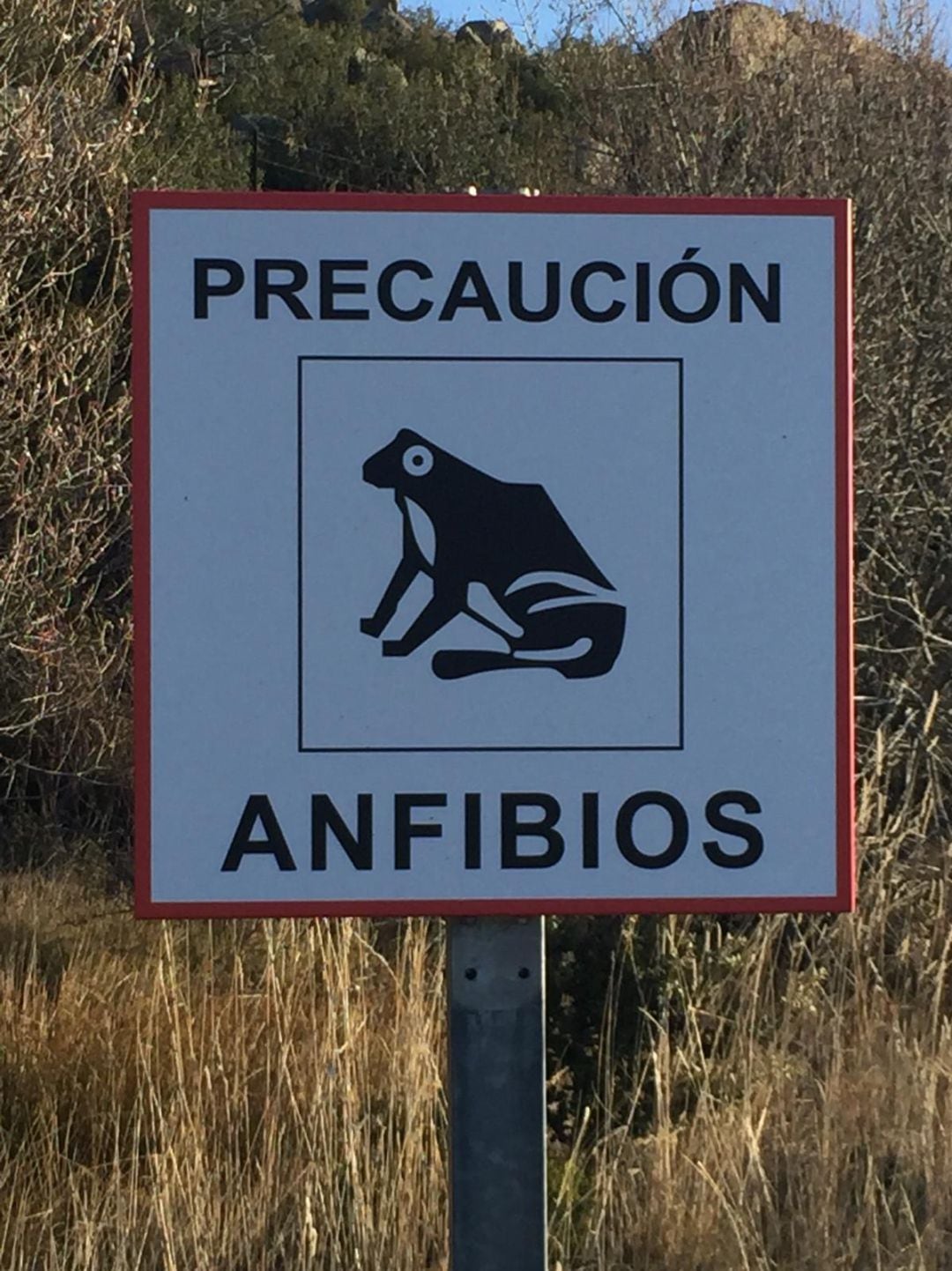 Cartel de aviso por presencia de anfibios