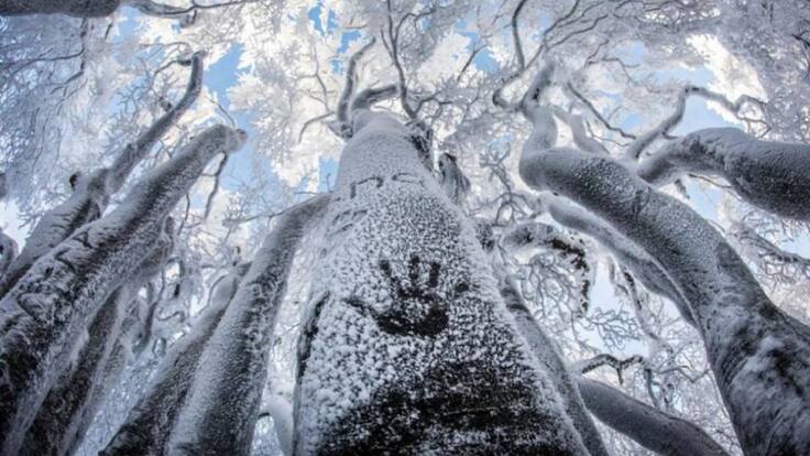 Temperaturas suaves para las fiestas navideñas, pero con precipitaciones en Nochebuena y Navidad