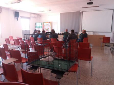 Momento del curso de jueces con uno de los ejemplares utilizado para las prácticas en primer plano