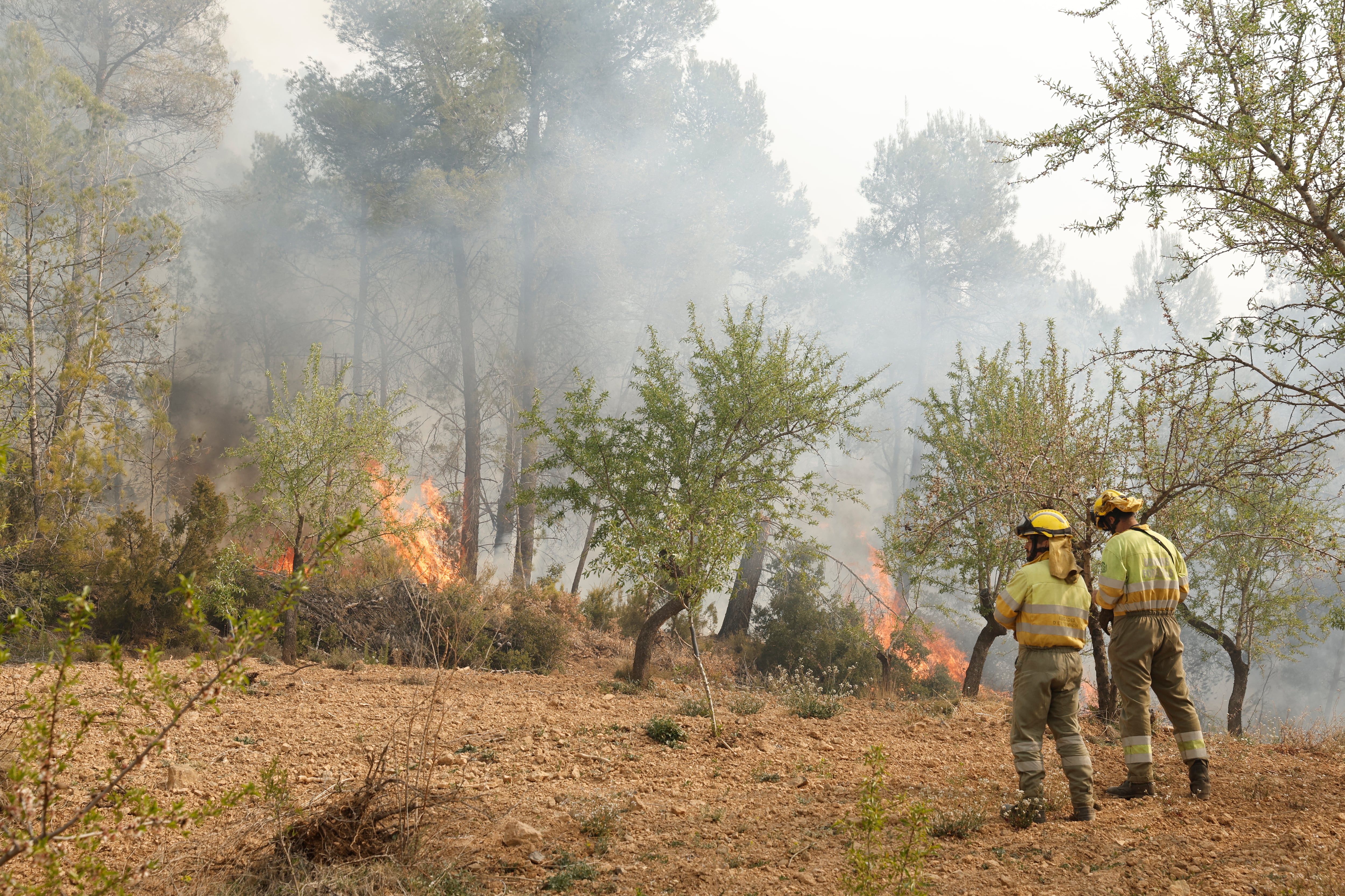 En la imagen, el fuego en la localidad de Montán.EFE/ Biel Aliño