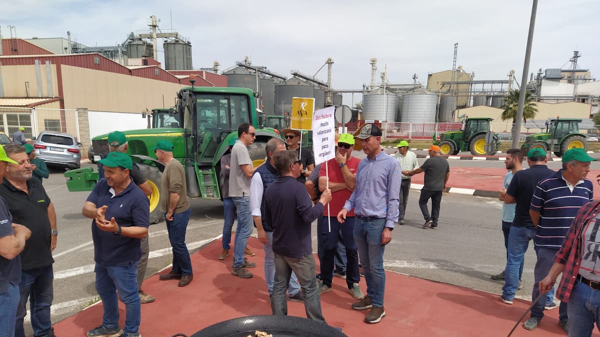 "Nos dan gato por liebre": las organizaciones agrarias denuncian que nos venden arroz asiático como si fuera valenciano