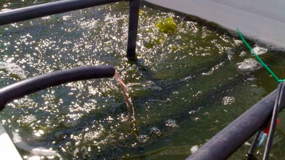 Seprona denúncia davant la Conselleria d'Agricultura a dos persones de Llutxent per acumulació de purins