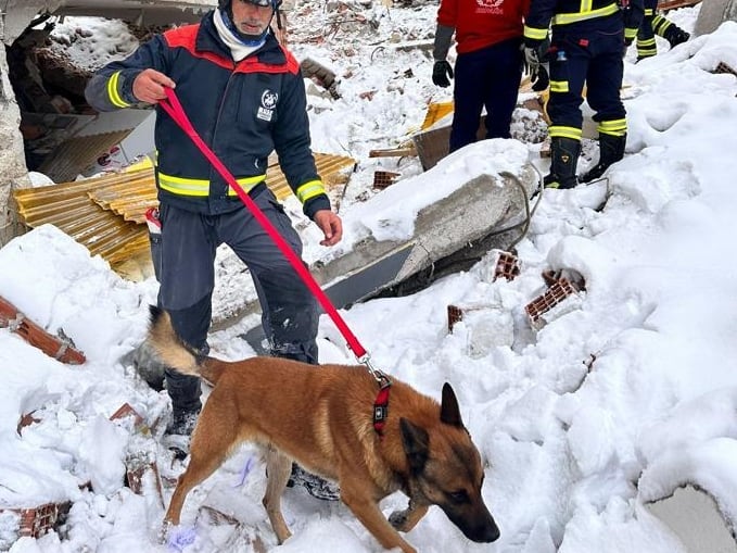 Antonio Caballero, bombero del Consorcio Provincial de Extinción de Incendios de Córdoba con su perro &#039;Bolo&#039;  en el rescate de supervivientes del terremoto de Turquía