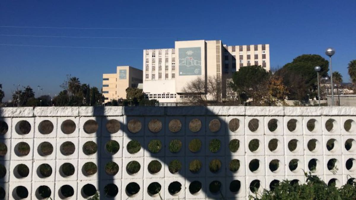 El SAS tendrá que readmitir a una médico a la que no contrató por estar embarazada