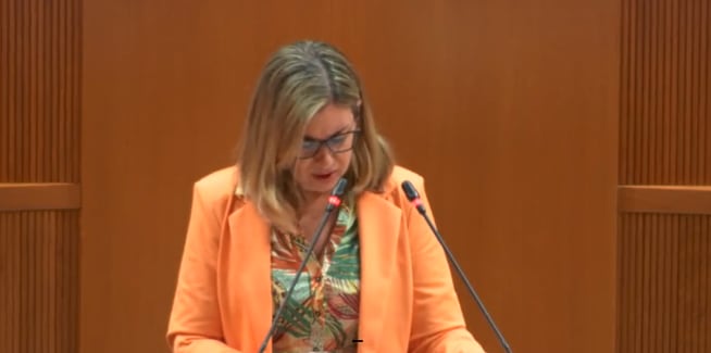 Claudia Pérez, consejera de educación en su intervención este viernes en las Cortes