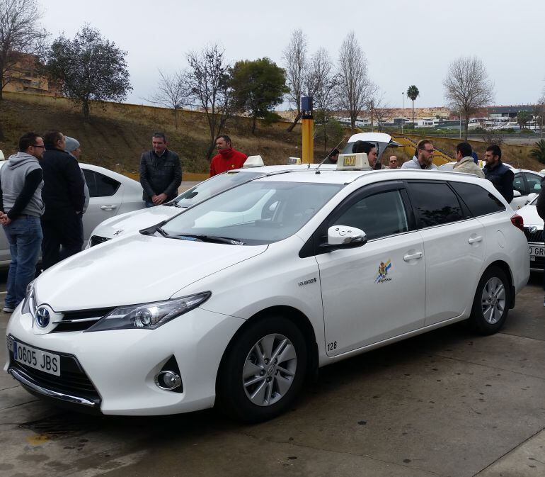 Los taxis algecireños siguen en pie de guerra contra los piratas.