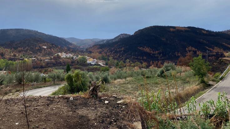 La llavor (24/09/2022)