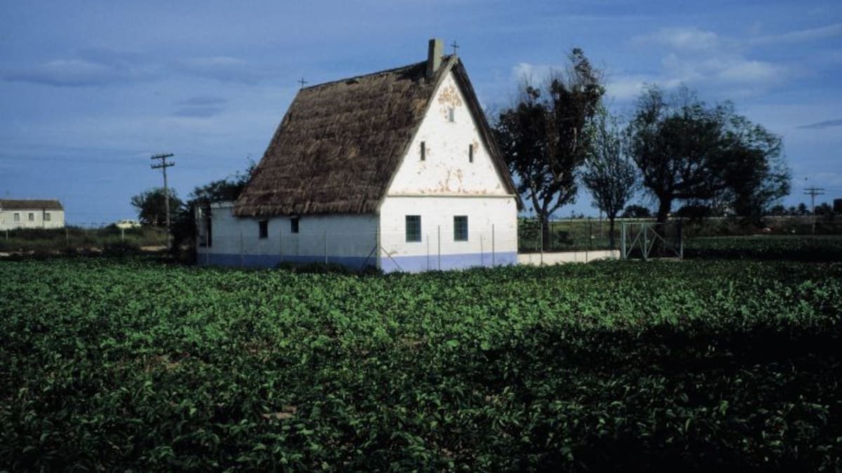 Ximo Puig promete diálogo para conseguir una buena ley de la huerta