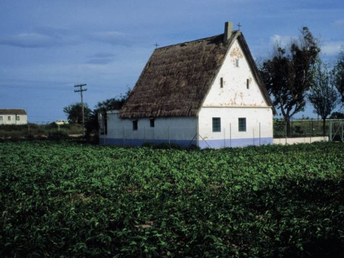 Ximo Puig promete diálogo para conseguir una buena ley de la huerta