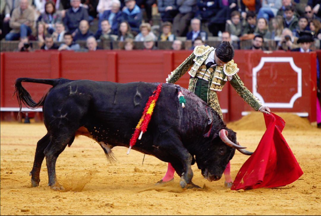 Pablo Aguado regresa a La Maestranza tras su notable actuación del pasado año en la corrida de Torrestrella