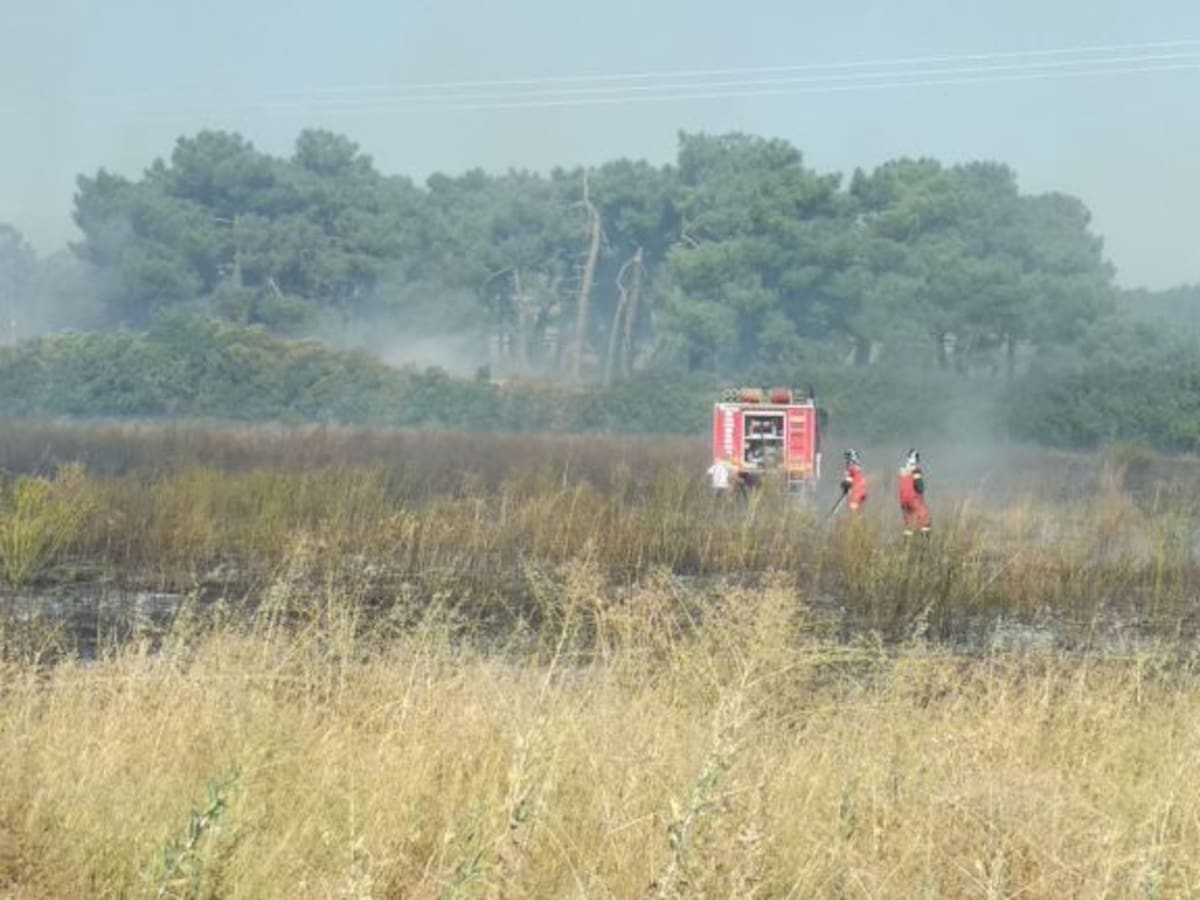 Una negligencia termina con casi 7 hectáreas de terreno en Aranda
