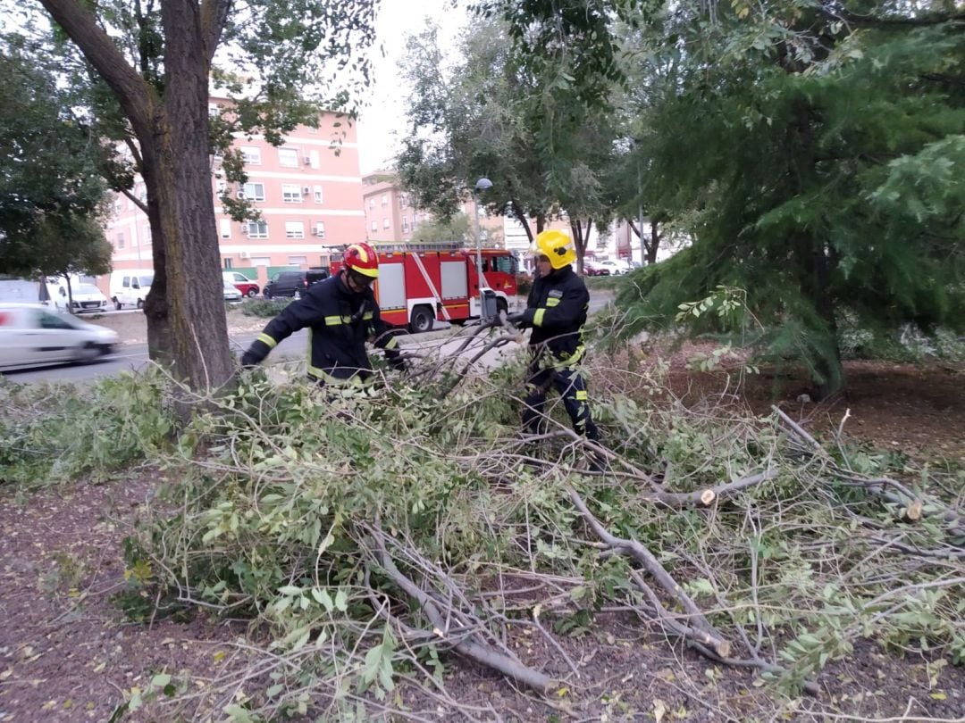 Los bomberos tuvieron que actuar en distintos puntos de la provincia, sobre todo por la caída de ramas