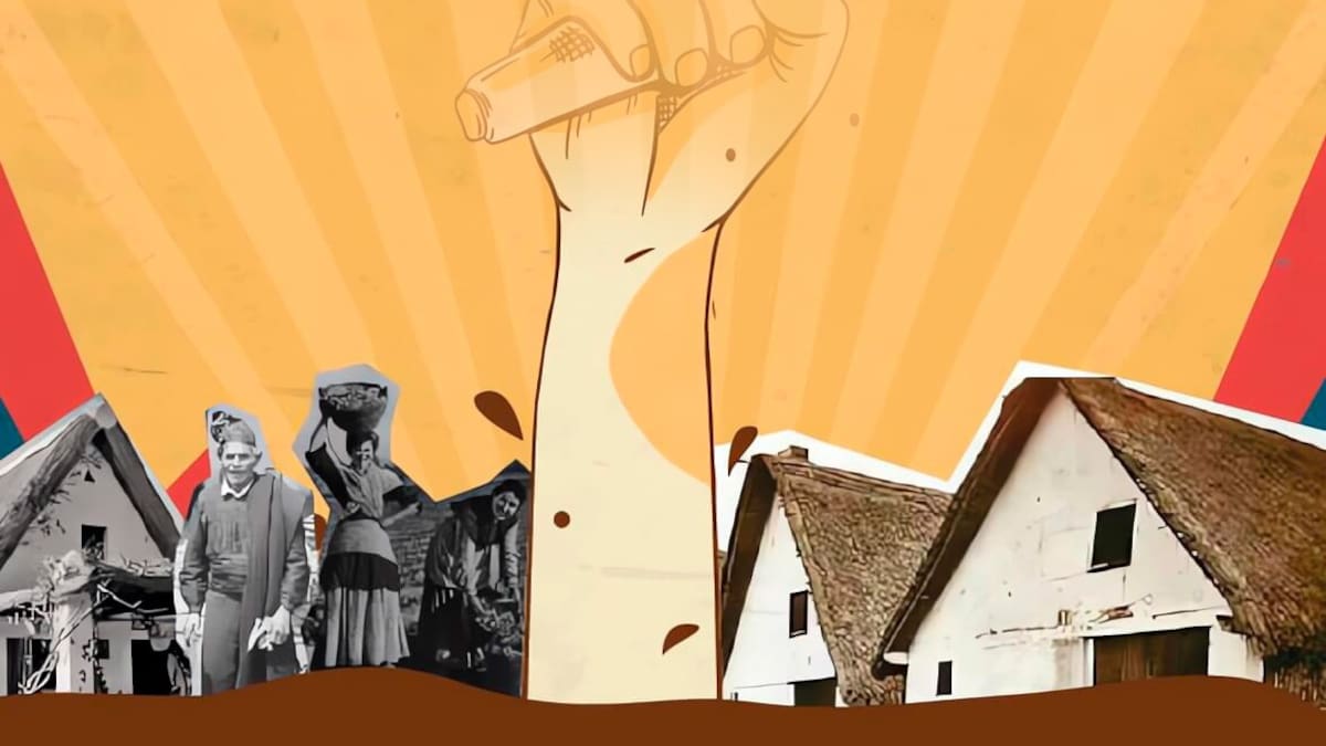 Gandia se llena de música solidaria este fin de semana con el festival 'La Safor x València'