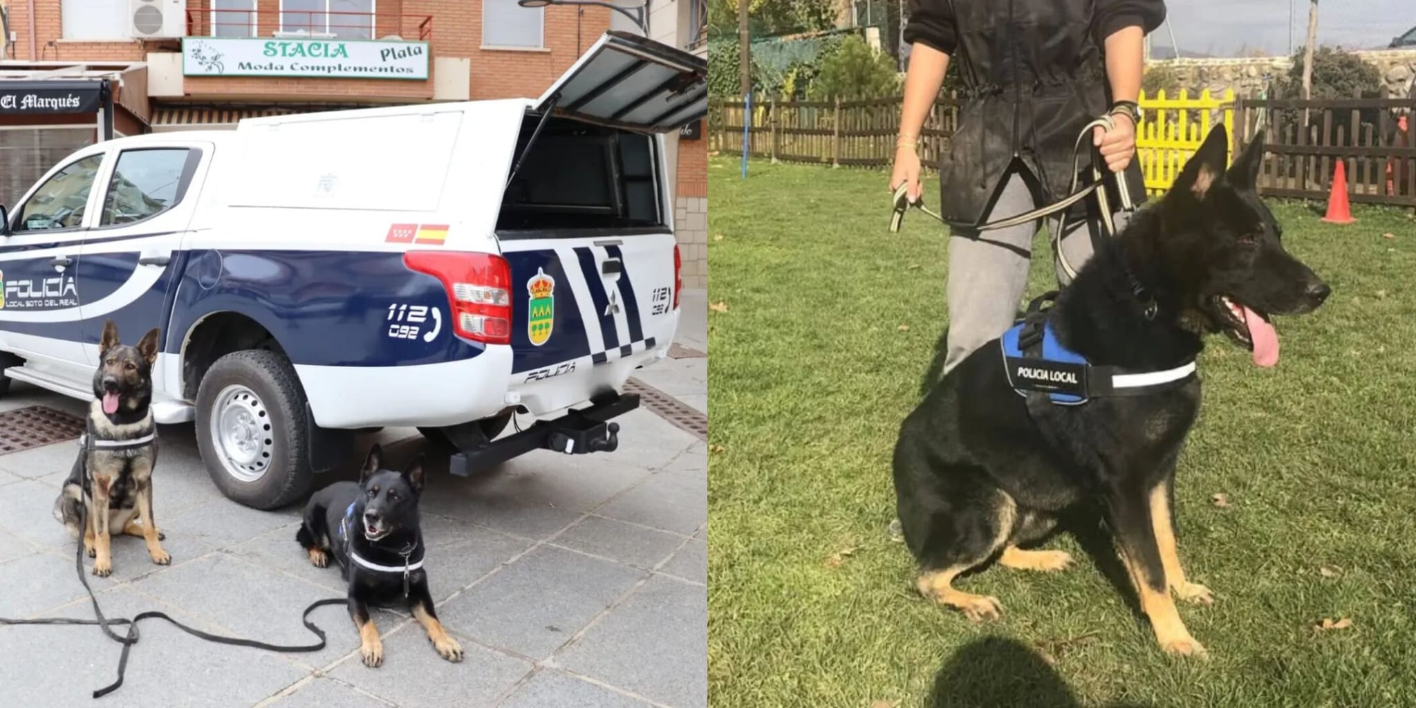 Roco, primer perro de la Unidad Canina de la Policía Local