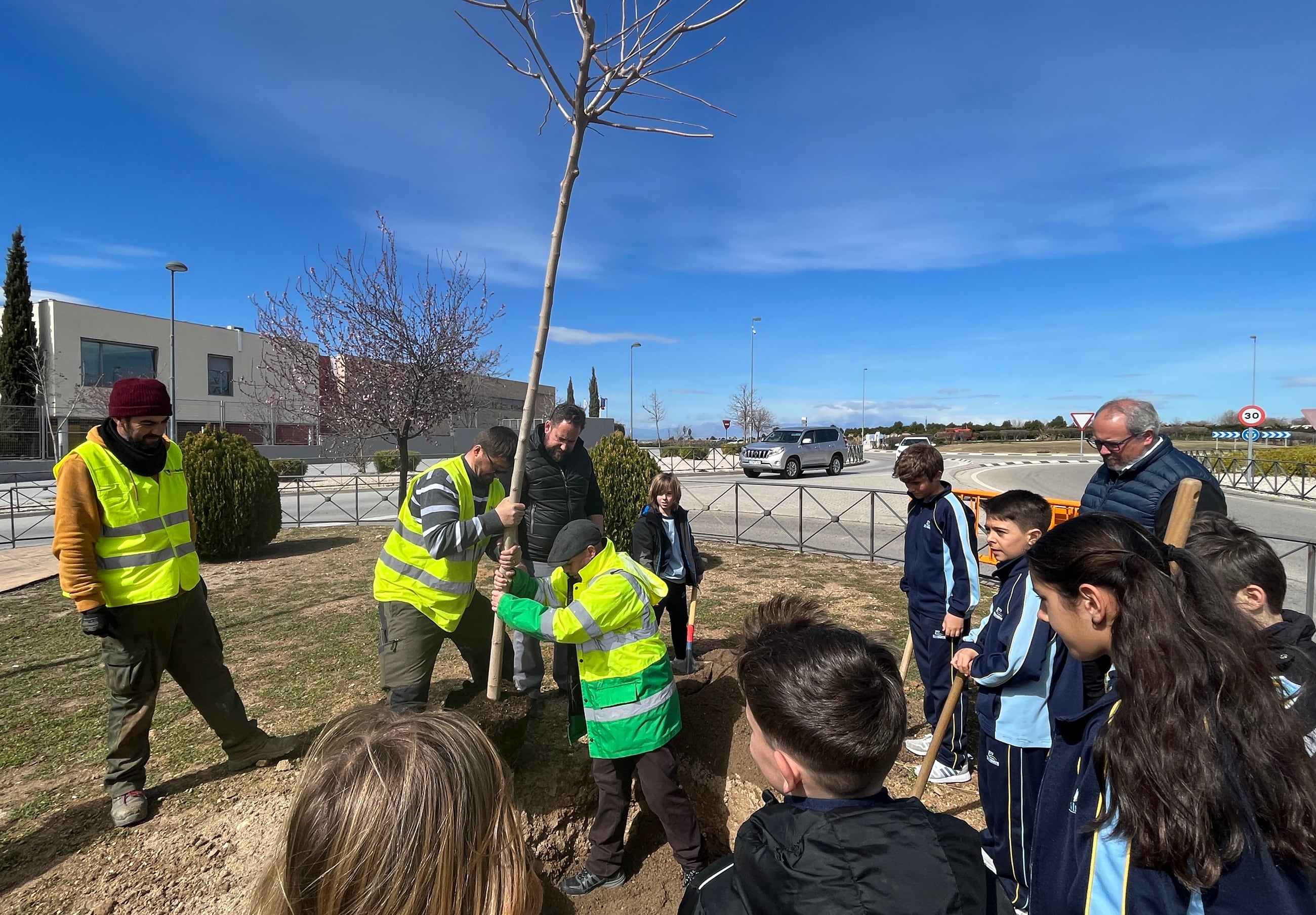 Paracuellos de Jarama plantará 700 árboles para generar nuevas sombras en toda la ciudad