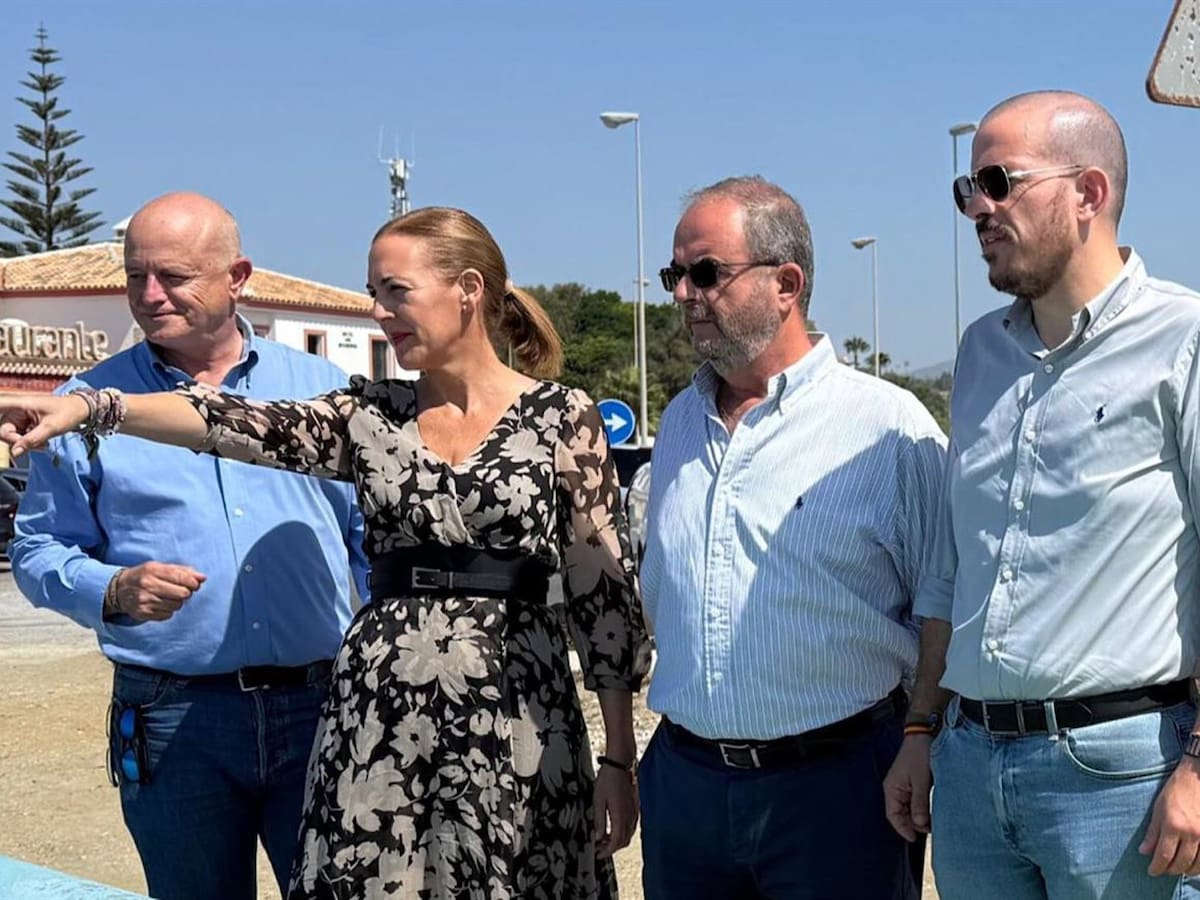 Vox lleva al Congreso la situación "límite" de playas y pide solución para el litoral malagueño