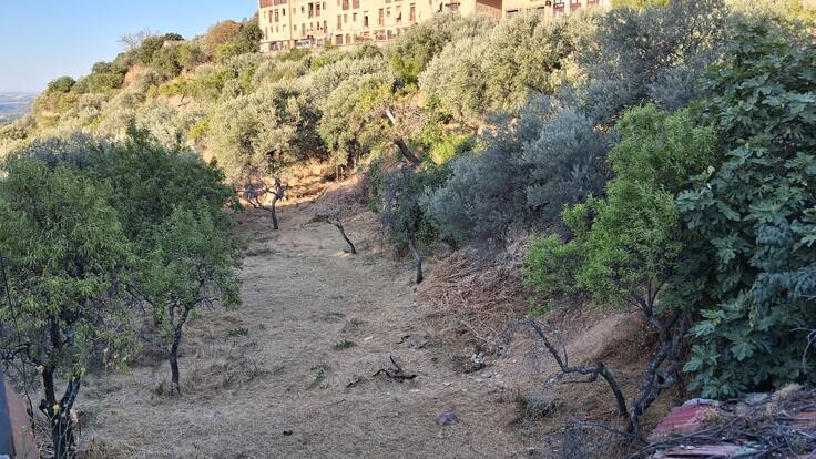 Entrevista a Toño Anies, ganadero colaborador del programa de prevención de incendios promovido por Saborea Guara Somontano.