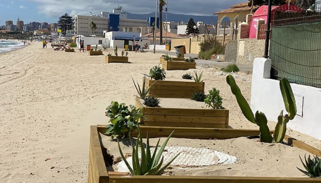 Imagen de los maceteros en la playa de El Rinconcillo.